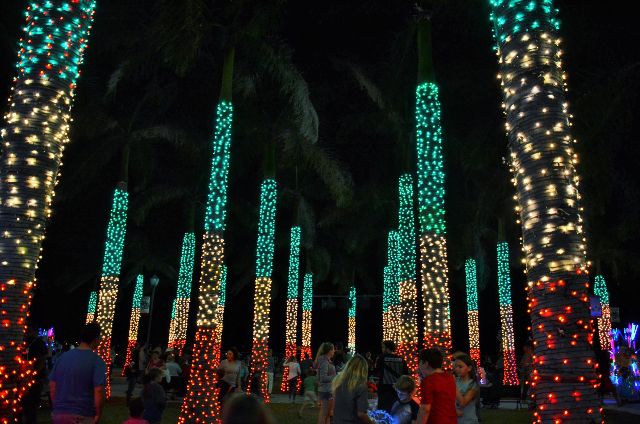 Holiday Lights Spectacular Z.E. Photography.jpg